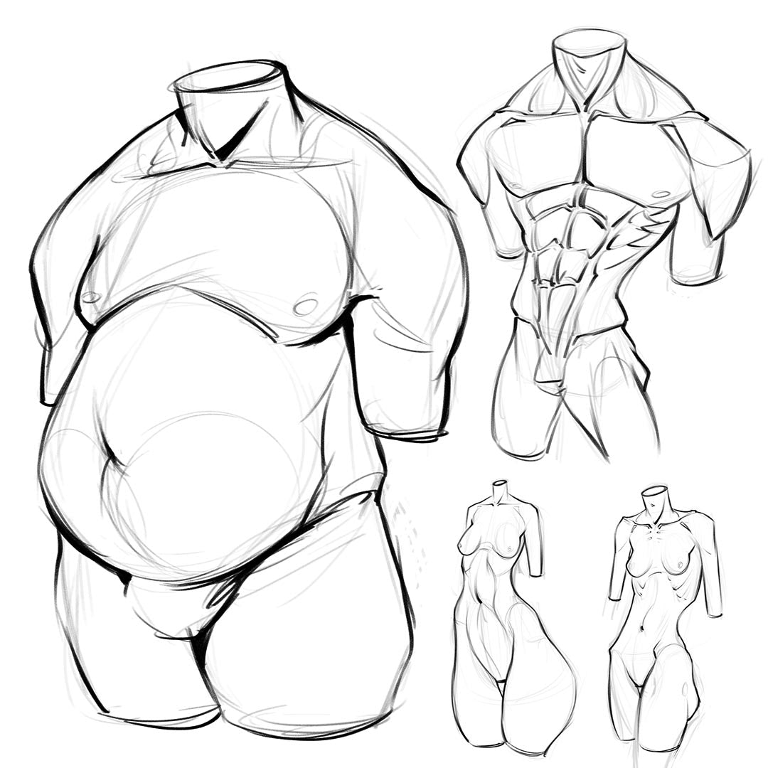 TORSO STUDY - art Improvement challenge