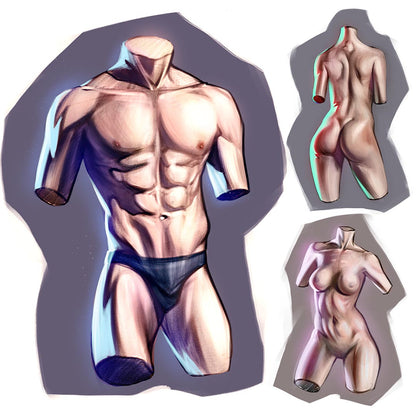 TORSO STUDY - art Improvement challenge