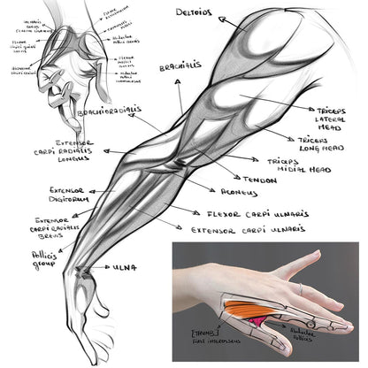 ARMS and HANDS Study - art Improvement Challenge