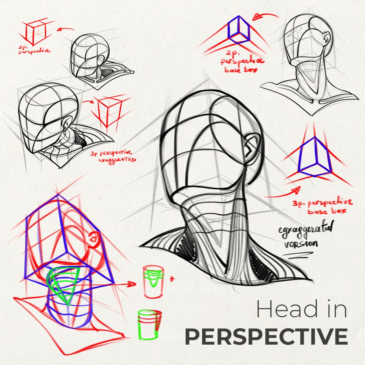 HEAD STUDY - art Improvement Challenge