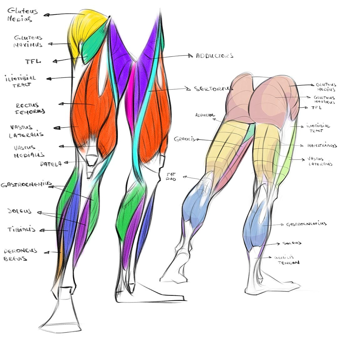 LEGS and FEET Study - art Improvement challenge